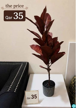 Urgent Sale - Lower Prices - 4