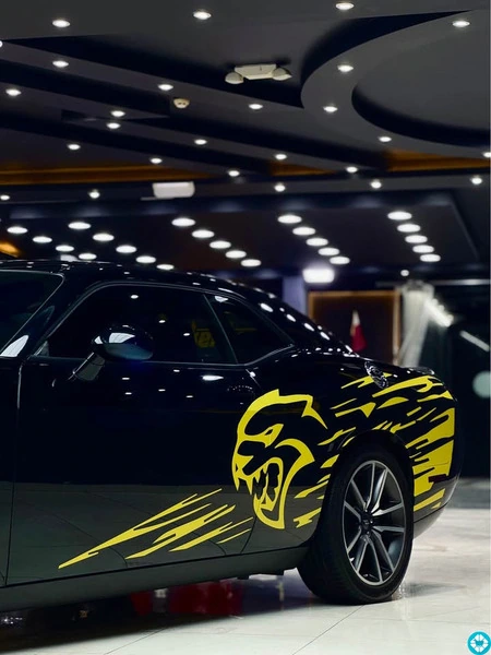 Doge challenger RT+ - 3/8