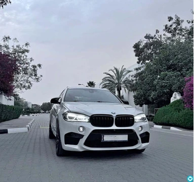 2015 BMW x6-mpower