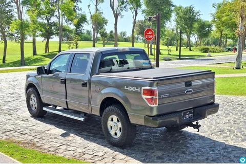 Ford F-150 2010