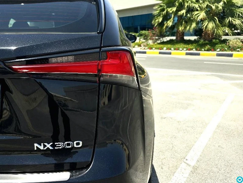 Lexus NX 300 F sport - 3/8