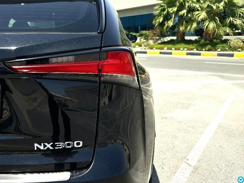 Lexus NX 300 F sport - 3